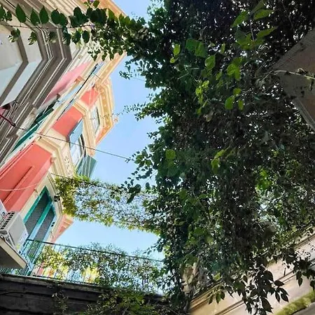 Bouganville House